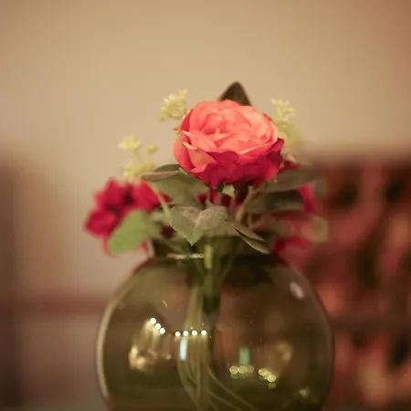 Hotel Liebig-hotel 3*