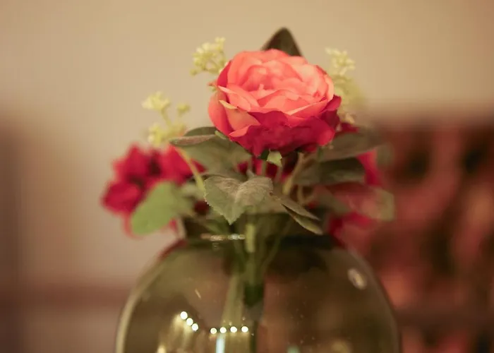 Szálloda Liebig-hotel 3*